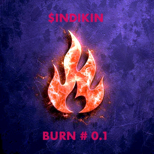 Indikin Team just burned $INDIKIN for the first time — here’s what it&nbsp;means.